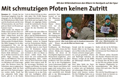 Frankfurter Wochenblatt über Biberführung der Wildnisbotinnen
