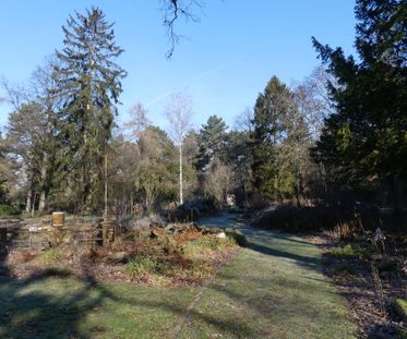 Wildbienengarten 1-Hauptfriedhof FFM-Januar 2023