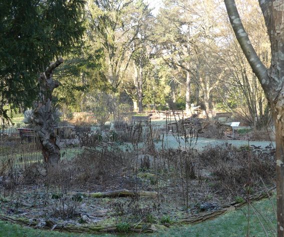 Wildbienengarten 3-Hauptfriedhof FFM-Januar 2023