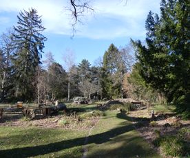 Wildbienengarten 1-Hauptfriedhof FFM-Februar-2023