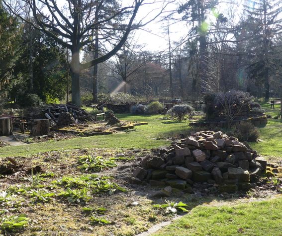 Wildbienengarten 2-Hauptfriedhof FFM-Februar 2023