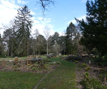 Wildbienengarten 1-Hauptfriedhof FFM-März 2023