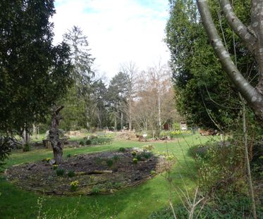 Wildbienengarten 3-Hauptfriedhof FFM-März 2023