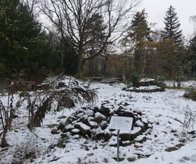 Wildbienengarten 2-Hauptfriedhof FFM-November 2023