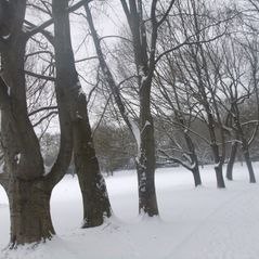 Huthpark im Schnee