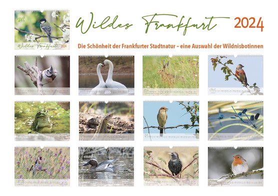 Bildergalerie Kalender Wildes Frankfurt 2024