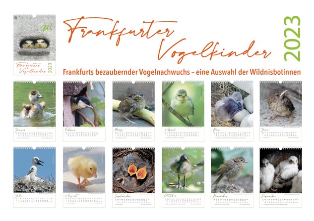 Bildergalerie Kalender Frankfurter Vogelkinder 2023