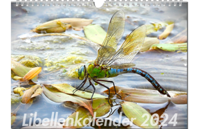 Kalender Libellen 2024