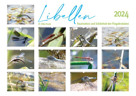 Bildergalerie Kalender Libellen 2024