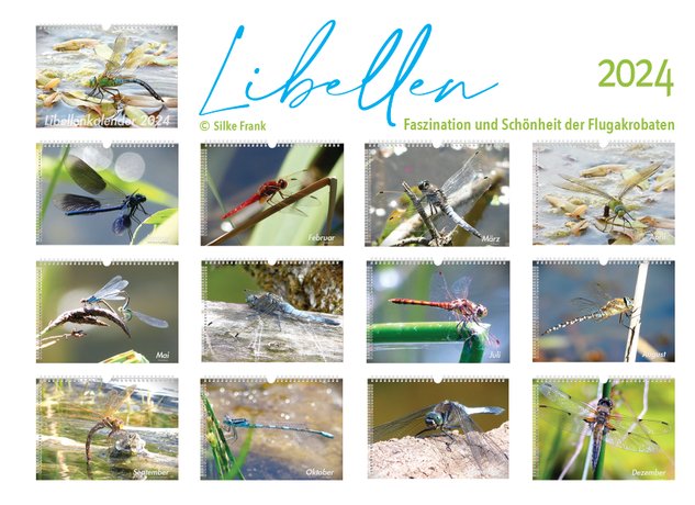 Bildergalerie Kalender Libellen 2024
