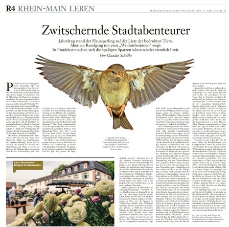 Frankfurter Wochenblatt über Schulprojekt mit den Wildnisbotinnen